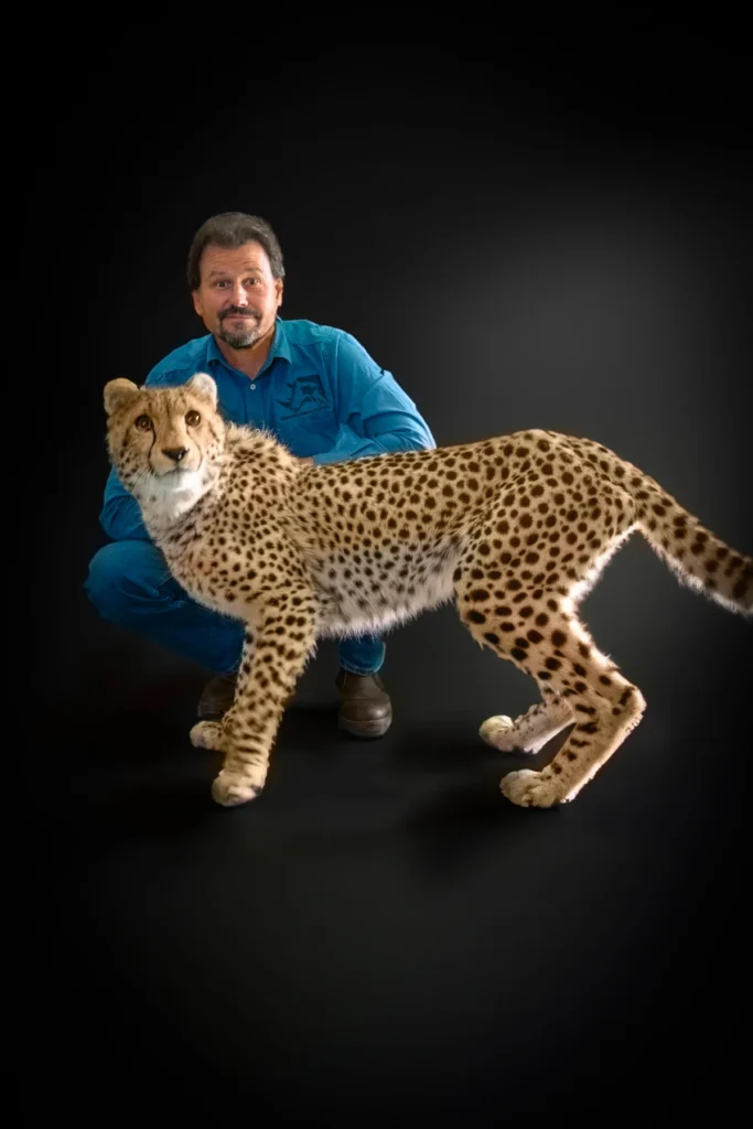 A Hermanus vet with a cheetah