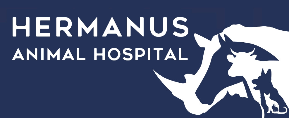 Hermanus vet logo shows various animals in silhouette